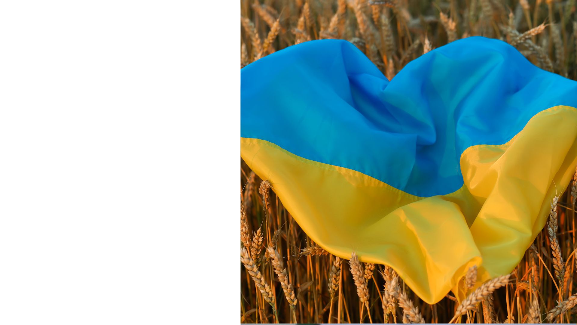 34-та річниця Незалежності: якою бачать Україну громадяни?