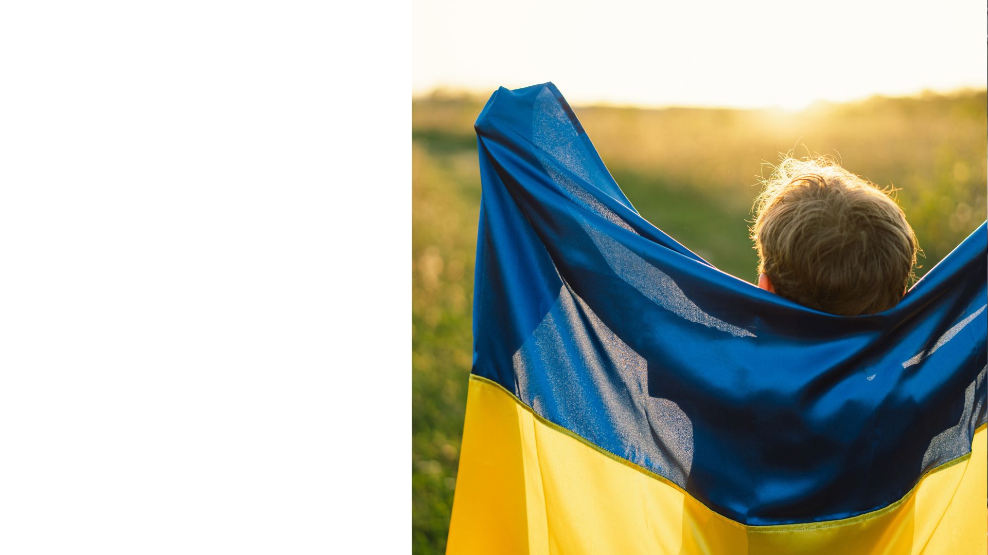 Градус українського суспільства під час війни / дванадцята хвиля