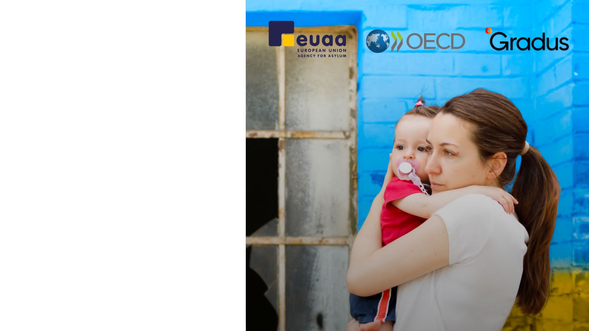 Experiences, hopes and aspirations of internally displaced persons from Ukraine
